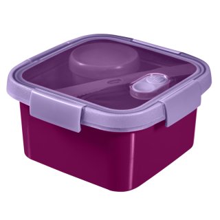 Pojemnik na żywność To Go Lunch Kit kwadratowy 1,1 l CURVER