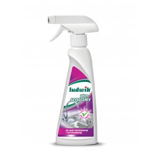 Płyn do mycia stali nierdzewnej i chromowanej 250 ml LUDWIK