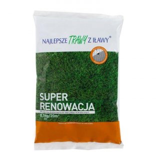 Trawa Super Reno 0,5 kg ROLIMPEX