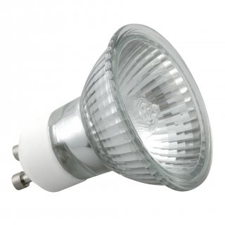 Żarówka halogenowa 20w 60 g10 220v KANLUX